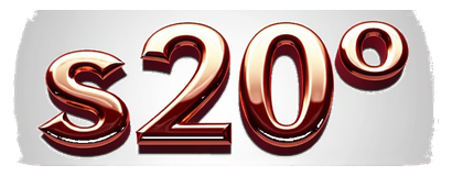 s 20 logo